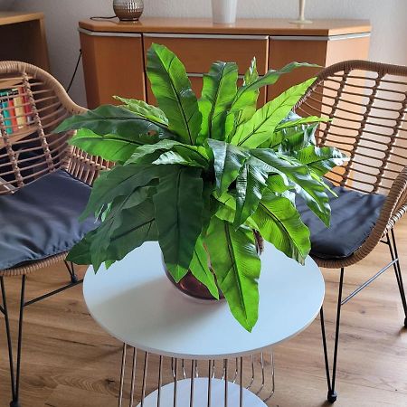 Apartment Sehring Oelde Zewnętrze zdjęcie
