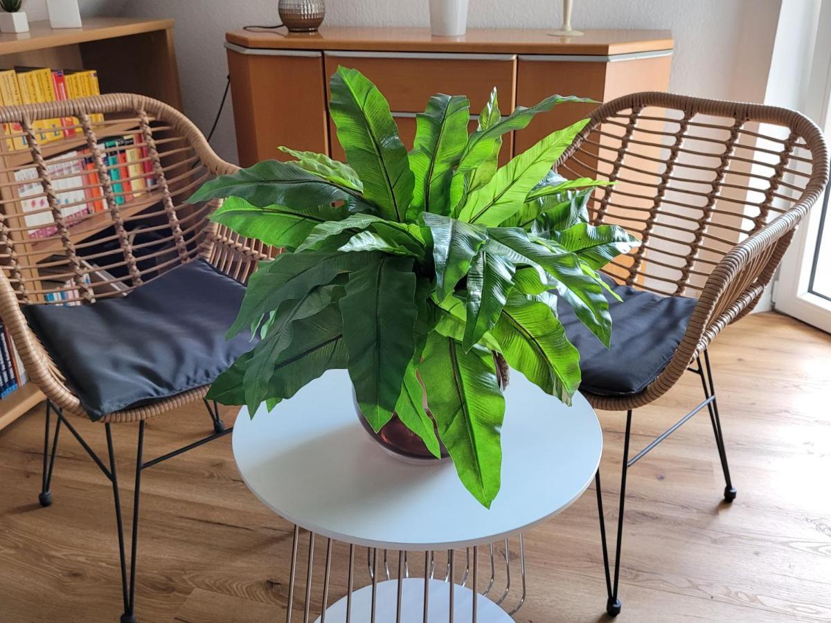 Apartment Sehring Oelde Zewnętrze zdjęcie